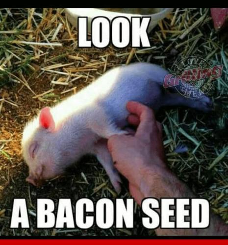 FB_IMG_1746977330306