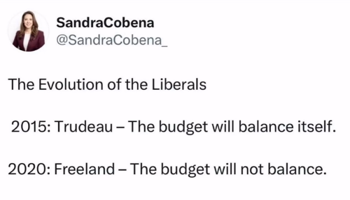 the budget