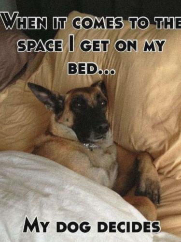 FB_IMG_1747677106443