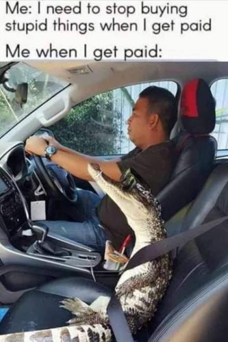 Screenshot_20250506_161039_Gallery