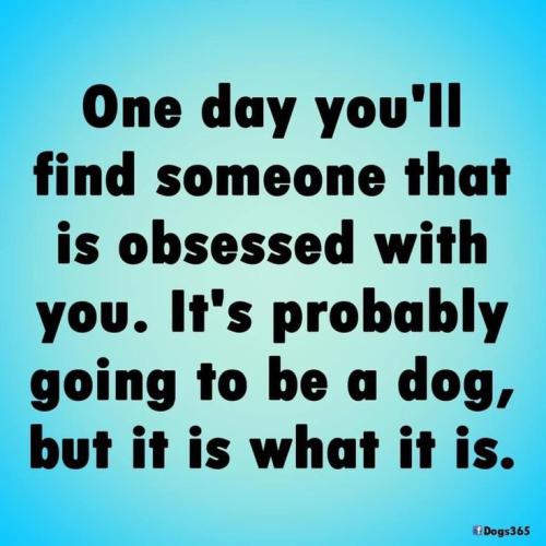 5925ed872796b9dafd4e5e89d24c787f