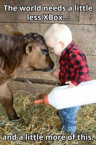 FB_IMG_1746385623214