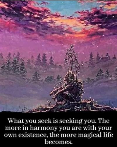 ,, 420169405_70155110652