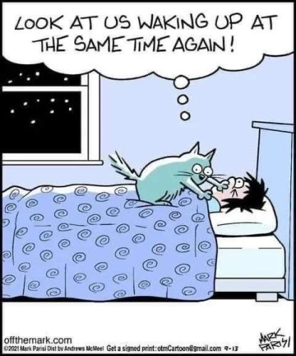 a37931fe10b8817c403f8ce394800142