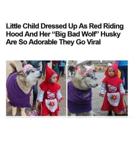 FB_IMG_1746123315765