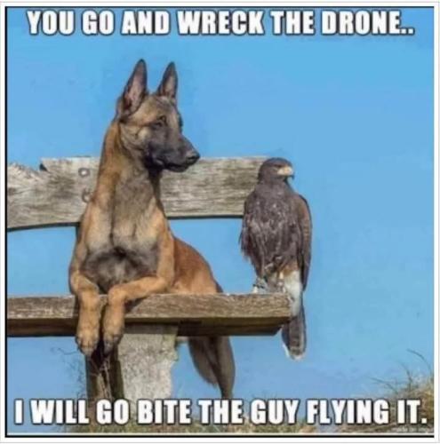 FB_IMG_1746099489543