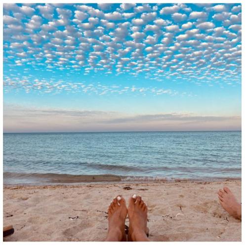 ad3d3704-b5bf-4ece-886d-e79530935e83