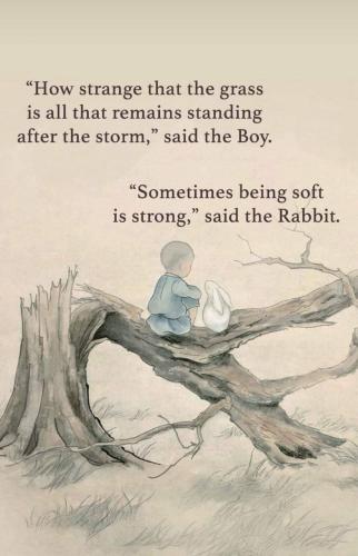 IMG_20250528_071912_844