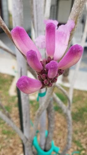 b701611e-5f03-4b7f-9d72-210605d212e2