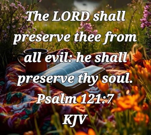 55c7de31-850c-4e53-a1be-3da2951ee2c5