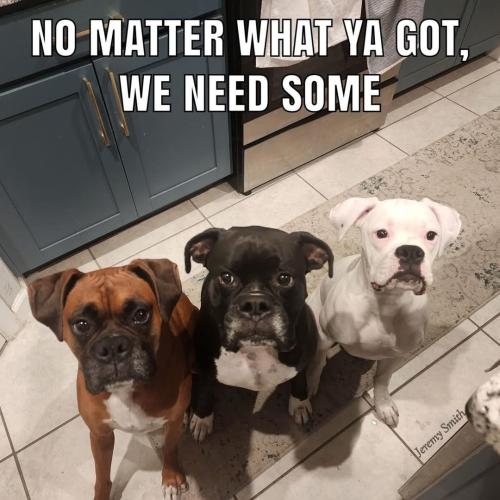 FB_IMG_1746824015453