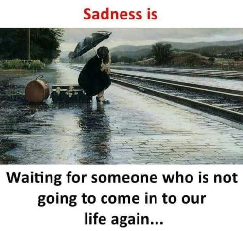 FB_IMG_1557805502456