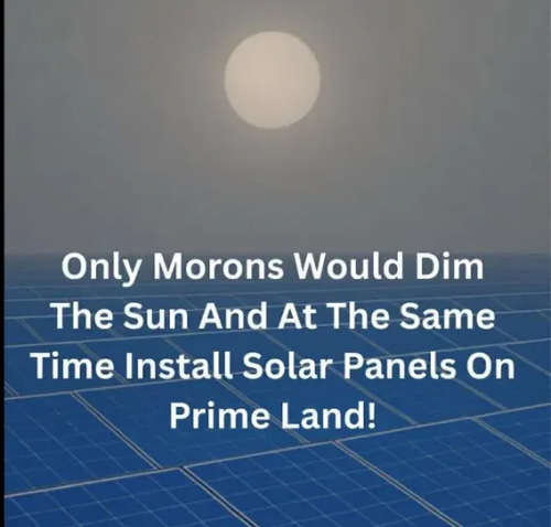 image_2025-05-05_062923461