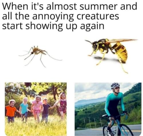 image_957D082A-5B76-453E-AA49-804867DFD4D3