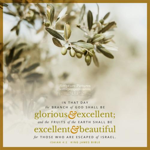 isa-4-2-KJV-unsplash