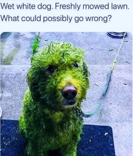 FB_IMG_1746905327391