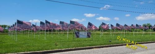 Screenshot_20250524_054907_Gallery