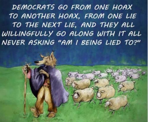 FB_IMG_1747546067367