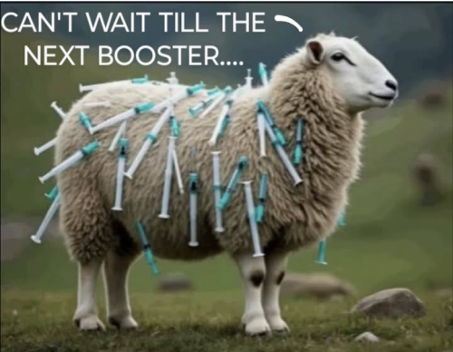 Screenshot_20250510-235716~2