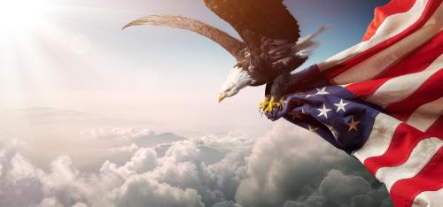 I Stock Eagle Flag Purchased