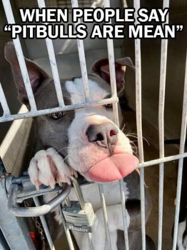 FB_IMG_1748548139251