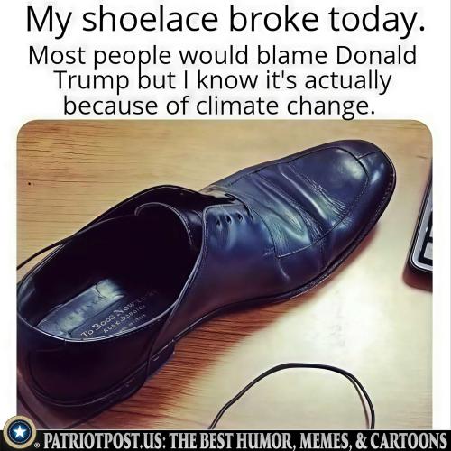 01JV6M05RMBJ4Z5RAP0FRHYDGD