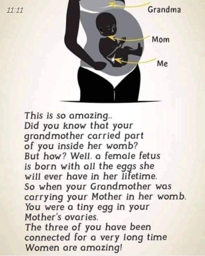 FB_IMG_1618644022990