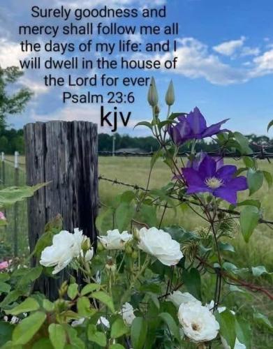 13c714bc-d26e-4a4a-9eaf-6024a75a114a