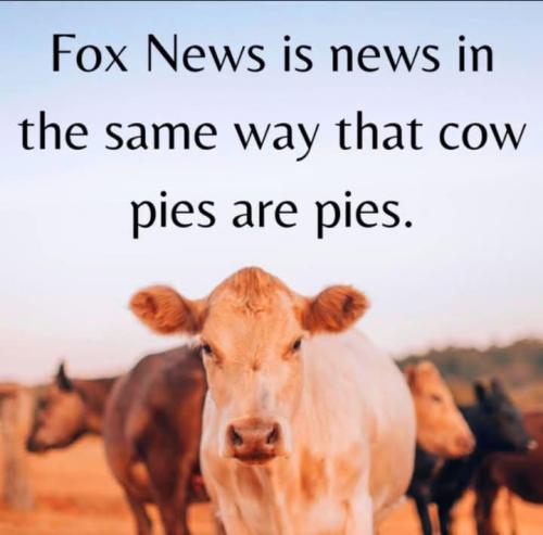 FB_IMG_1748269573227