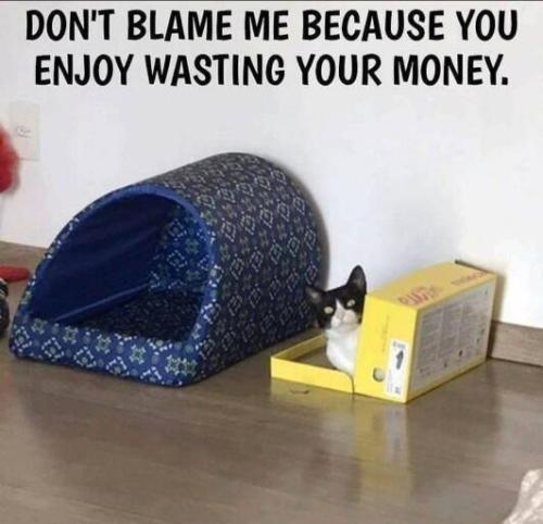 b3decb494b86db0eb0501a6b38674a6b