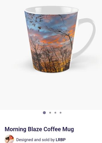 Screenshot_20250514_102401_Brave