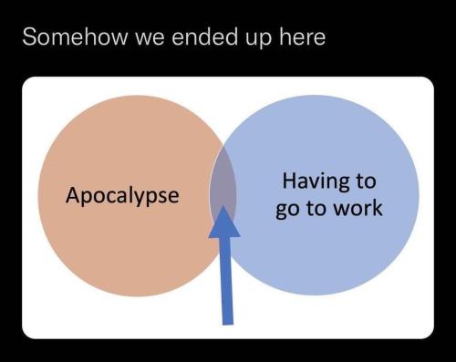 image_23D52D34-D366-46E3-A6DA-9D024456BDCA