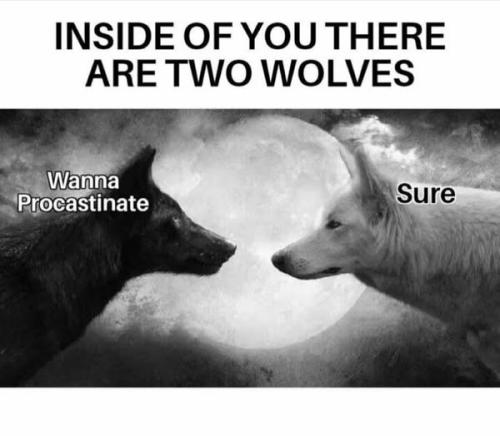 499871214_1426690101845992_4484091663817474065_n