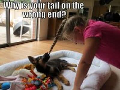 FB_IMG_1746487787364