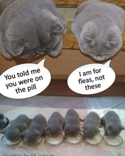 FB_IMG_1747935727623