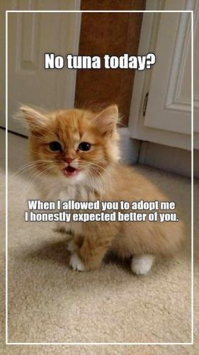 C750DBD8-6A44-42BB-8628-3D551044BFBE-2711-000000E905500872