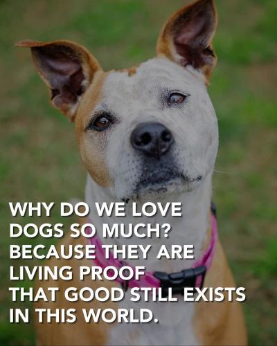 FB_IMG_1748023620444