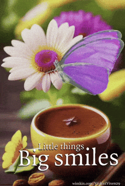 giphy-downsized-medium