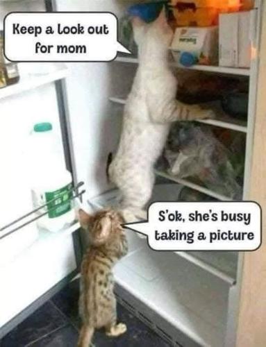 275297bac80a5552c9a507c6a4f3657d