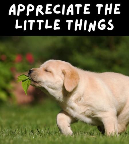 FB_IMG_1748453281764