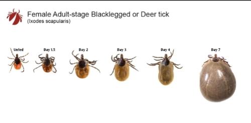 Screenshot_20250528_154116_Gallery