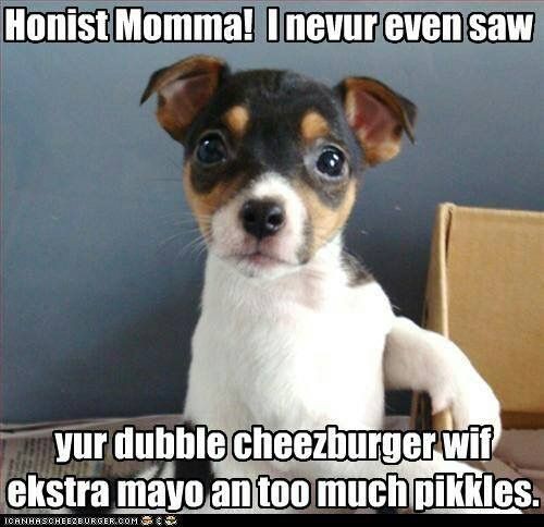 7868ea210bb8639f7d72d6aae6f1eac0