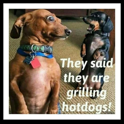 FB_IMG_1747080352240