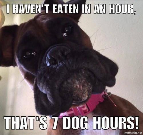 FB_IMG_1746540439701