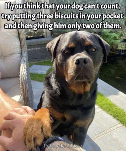 FB_IMG_1746547021887