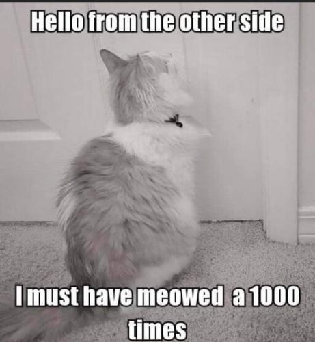 bd57c979262e86679c9425e9bba3d729