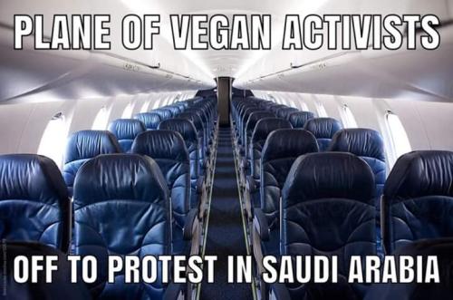 FB_IMG_1557757453913