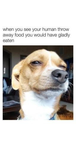 FB_IMG_1748435455268