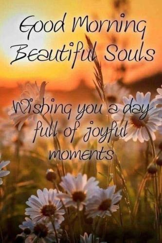 499406015_1233802248113907_7660095248222783983_n