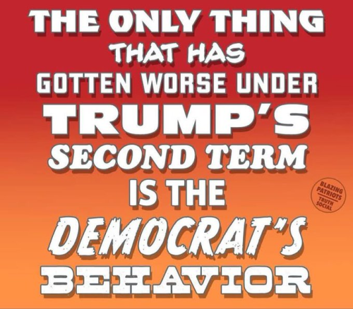 image_2025-05-10_090943636